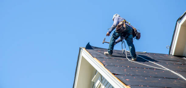 Best Storm Damage Roof Repair  in Mullins, SC